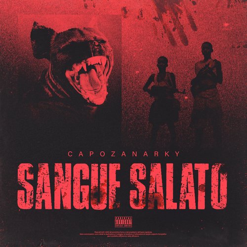 SANGUE SALATO_poster_image