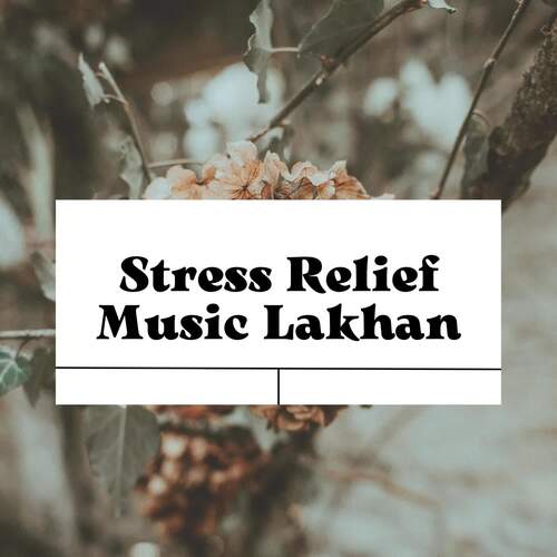 Stress Relief Music Lakhan