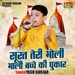 Surat teri bholi bhali bachche ki pukar (Hindi)