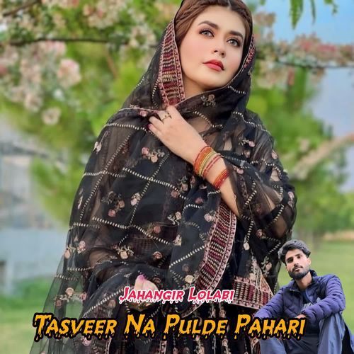 Tasveer Na Pulde Pahari