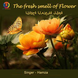 The Fresh Smell Of Flower-OQ89dB9zWAE