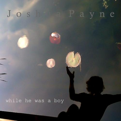 Wiley cover art