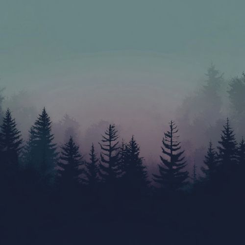 Éveil Conscient (Forest)