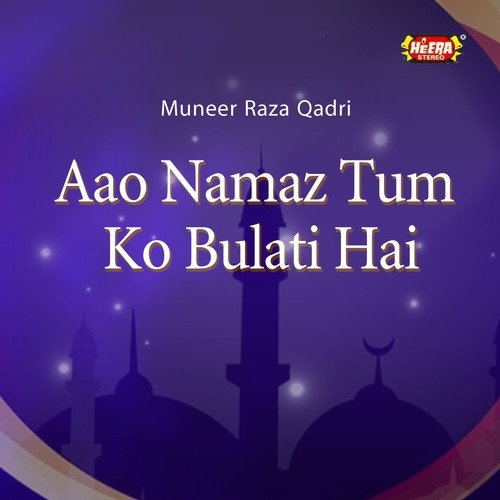 Muneer Raza Qadri