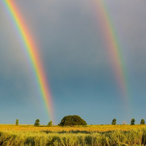 After the Rain cover art