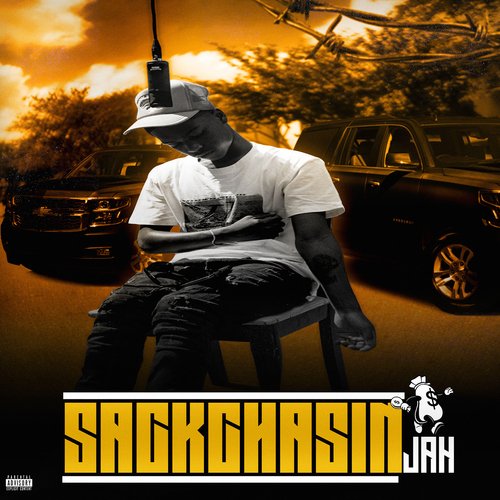 Allegations cover art