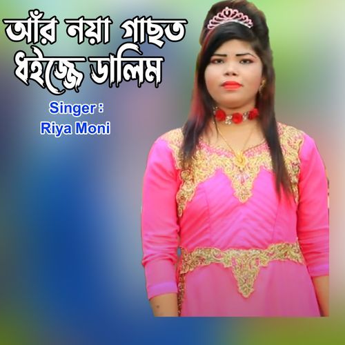 আঁর নয়া গাছত ধইজ্জে ডালিম