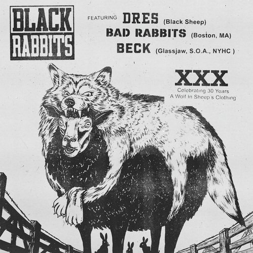 Black Rabbits