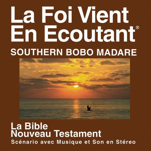 Bobo Madare le sud du Nouveau Testament (dramatisé) - Bobo Madare Southern Bible