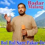 Bul Bul Sare Pakar De