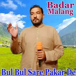 Bul Bul Sare Pakar De