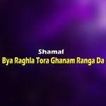 Bya Raghla Tora Ghanam Ranga Da