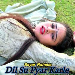 Dil Su Pyar Karle-GTkuVhJdenA