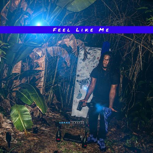 Feel Like Me_poster_image