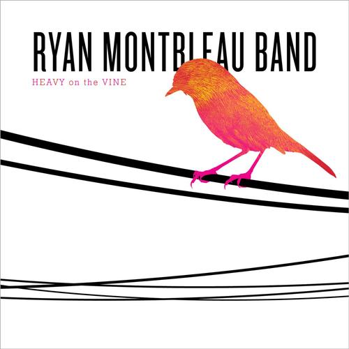 Fix Your Wings cover art