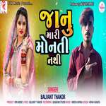 Janu Mari Monti Nathi