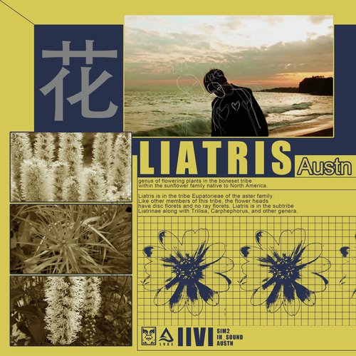 LIATRIS_poster_image