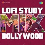 Lofi Study Mix - Bollywood