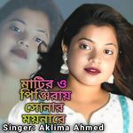 Matiro Pinjiray Shonar Moyna Re