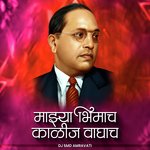 Mazya Bhimacha Kalij Waghacha (DJ Remix)