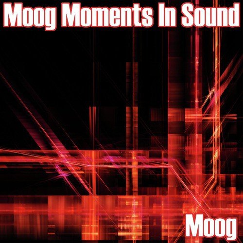 Moog Moments In Sound