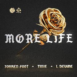 More Life (feat. Tinie Tempah & L Devine)