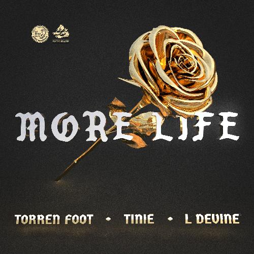 More Life (feat. Tinie Tempah &amp; L Devine)_poster_image