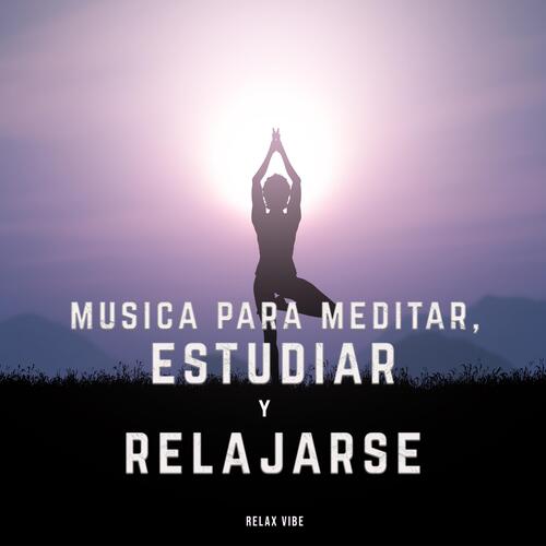 Percepcion (feat. Lo-Fi & Musica para Relajarse Profundamente) cover art