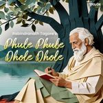 Phule Phule Dhole Dhole