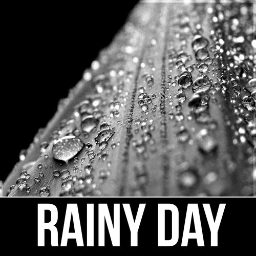 Rainy Day - In Harmony with Nature Sounds, Pacific Ocean Waves for Well Being and Healthy Lifestyle, Yin Yoga, Massage Therapy, Home Spa