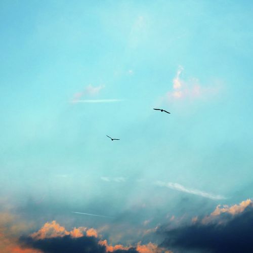 Ocean Haven cover art