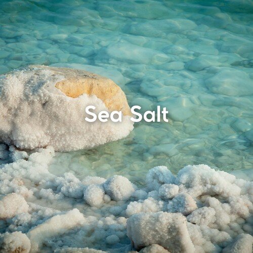 Philanthrope Ocean cover art