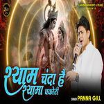 Shyam Chanda Hai Shyama Chakori