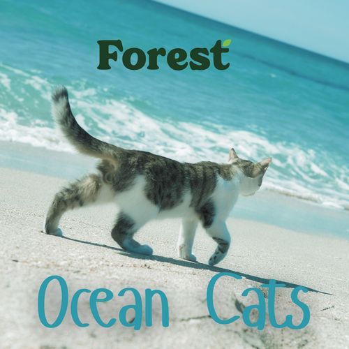 Soothing Ocean Cats