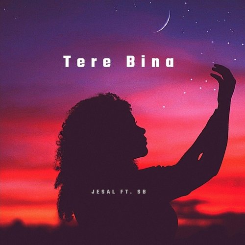 Tere Bina (feat. SB)