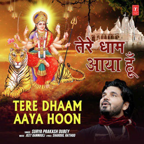 Tere Dhaam Aaya Hoon_poster_image