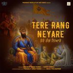 Tere Rang Neyare