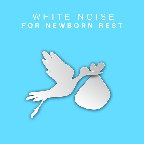 White Noise: Noise
