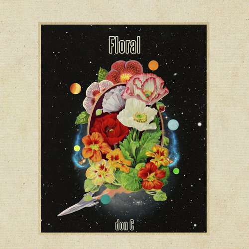 larix cover art