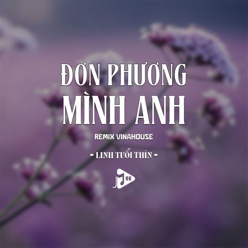 Đơn Phương Mình Anh (Remix Vinahouse) cover art