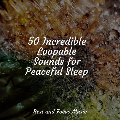 50 Incredible Loopable Sounds for Peaceful Sleep_poster_image