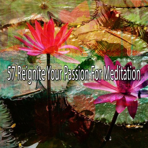 57 Reignite Your Passion for Meditation_poster_image