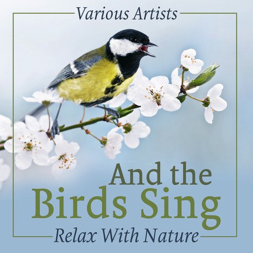 Northern Cardinal cover art