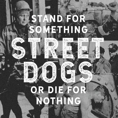 Street Dogs