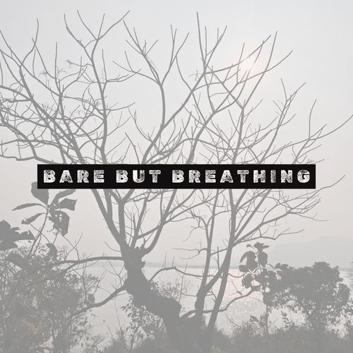 Bare but Breathing cover art