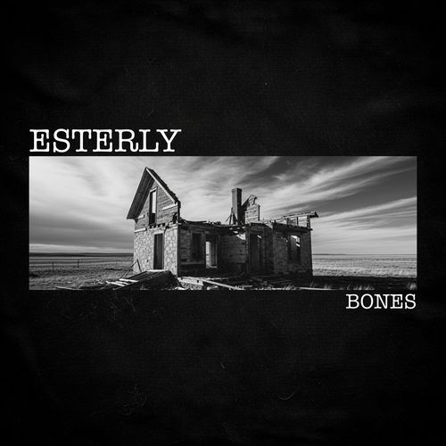 Bones