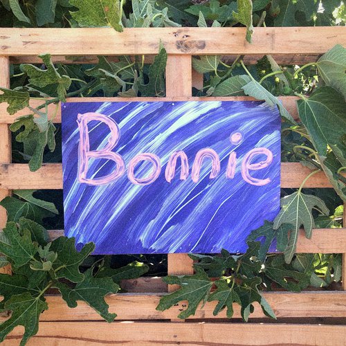 Bonnie cover art