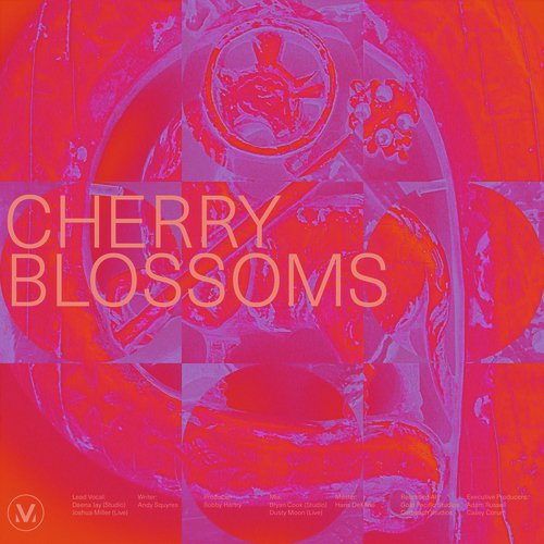 Cherry Blossoms