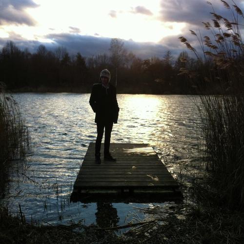 Placid Jungle cover art