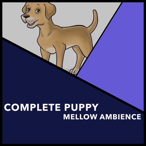 Peaceful Melodies cover art